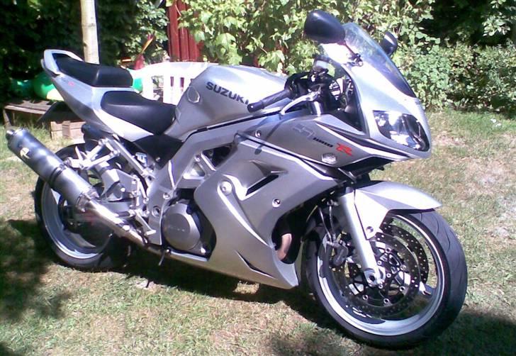 Suzuki SV1000 billede 1