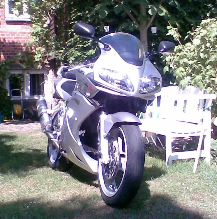 Suzuki SV1000 billede 2