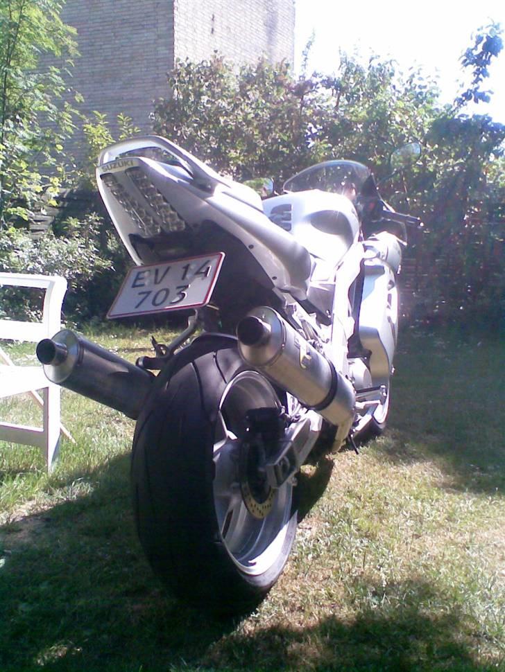 Suzuki SV1000 billede 3