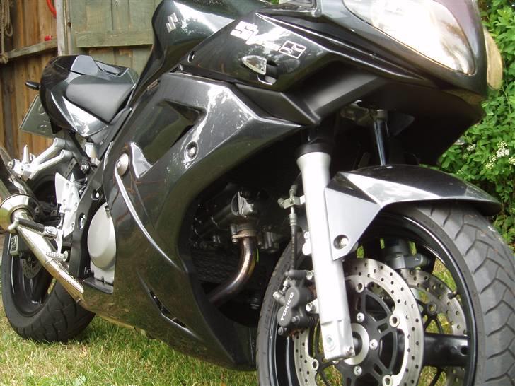 Suzuki SV 650 S billede 5