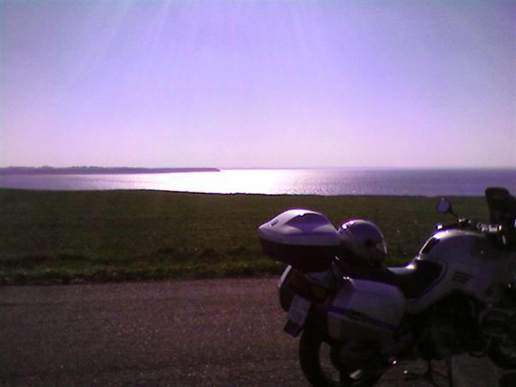 BMW R 1100 RS billede 5