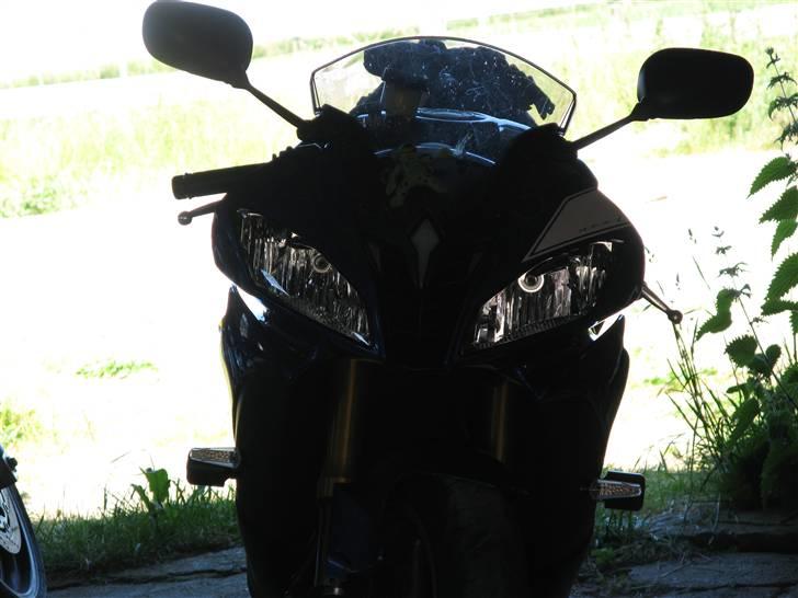 Yamaha YZF R6 - "GRRRRR"!!! billede 3