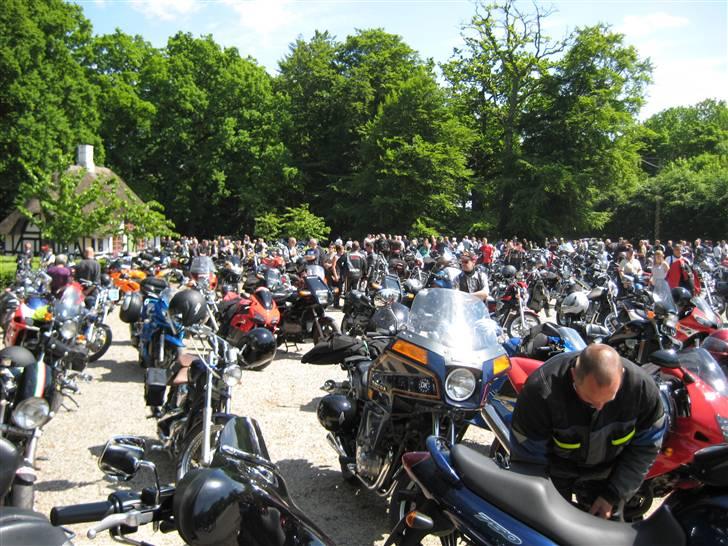 Honda CBR 600 f-sport - karolines ved middelfart billede 6