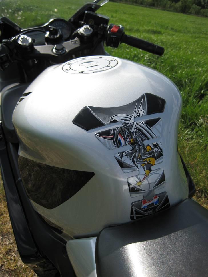 Honda CBR 600 f-sport - angry hornet tank pad billede 7