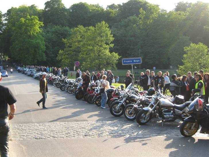 Honda CBR 600 f-sport - skovsøen ved odense billede 10