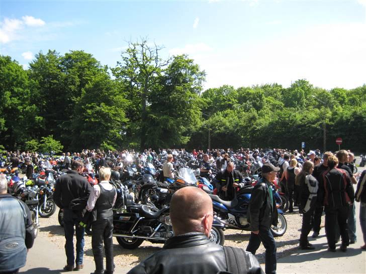 Honda CBR 600 f-sport - karolines ved middelfart billede 16