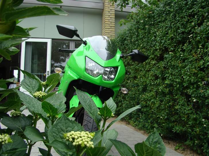 Kawasaki Ninja 250R (Solgt) billede 3