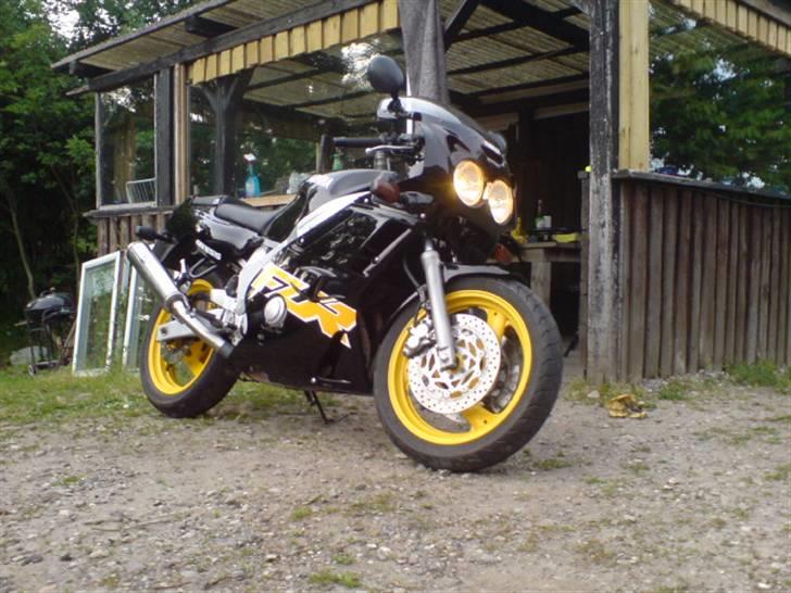 Yamaha FZR600 GENESIS billede 1