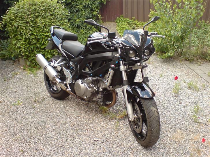 Suzuki sv 1000 n billede 2