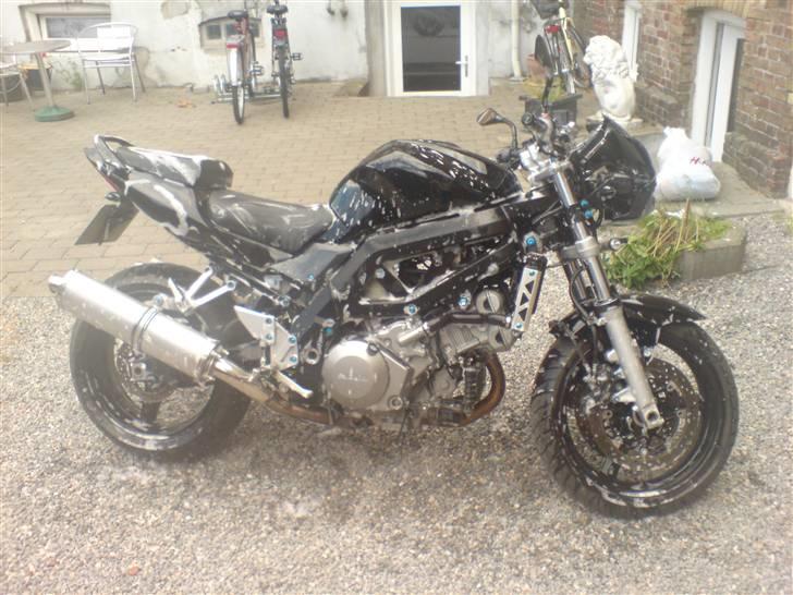 Suzuki sv 1000 n billede 3