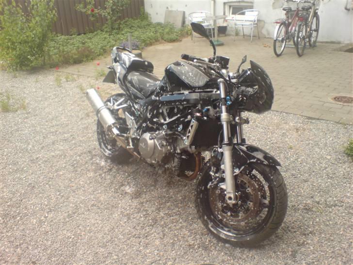 Suzuki sv 1000 n billede 4