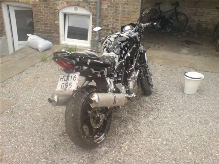 Suzuki sv 1000 n billede 5