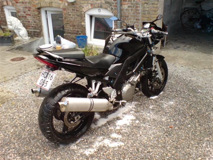 Suzuki sv 1000 n billede 8