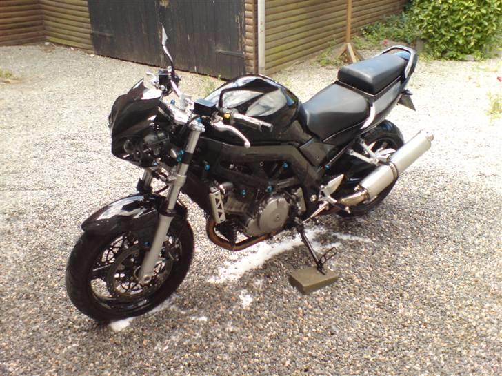 Suzuki sv 1000 n billede 12