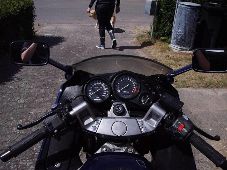 Kawasaki ZZR 600 billede 4