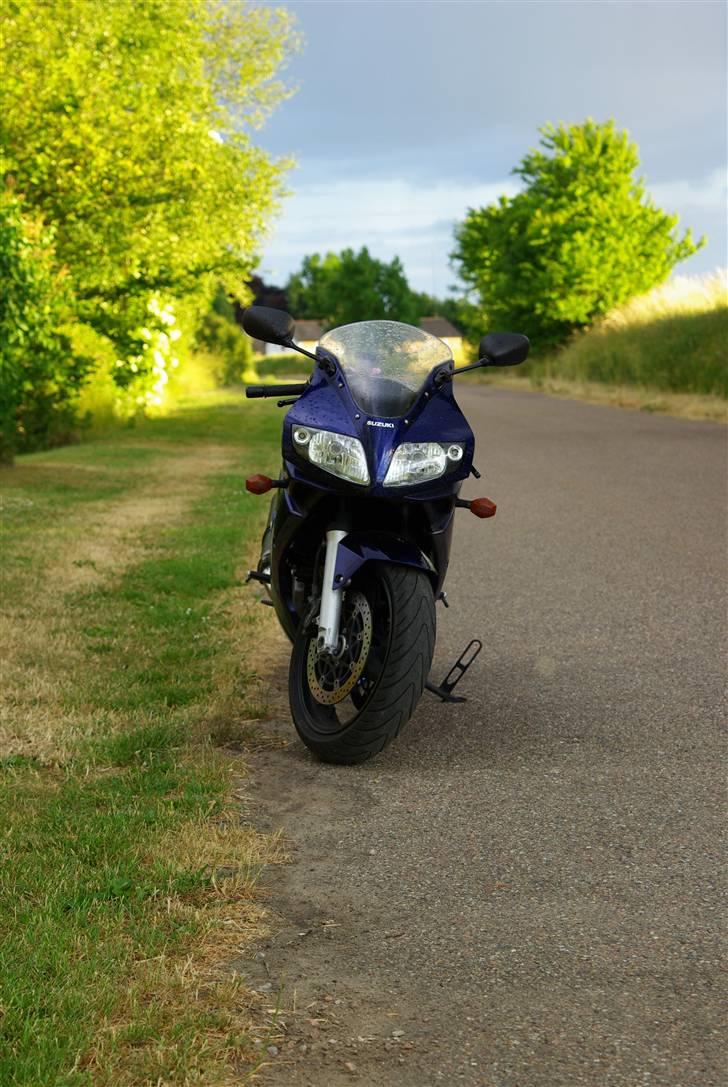 Suzuki SV1000S (solgt) billede 8