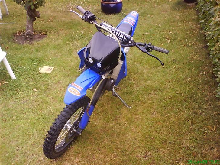 Zongshen Renthal billede 1