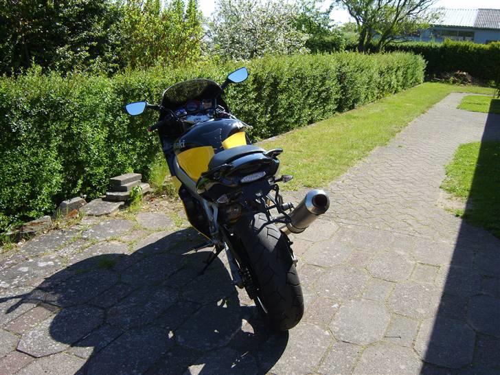 Kawasaki ZX9R billede 4