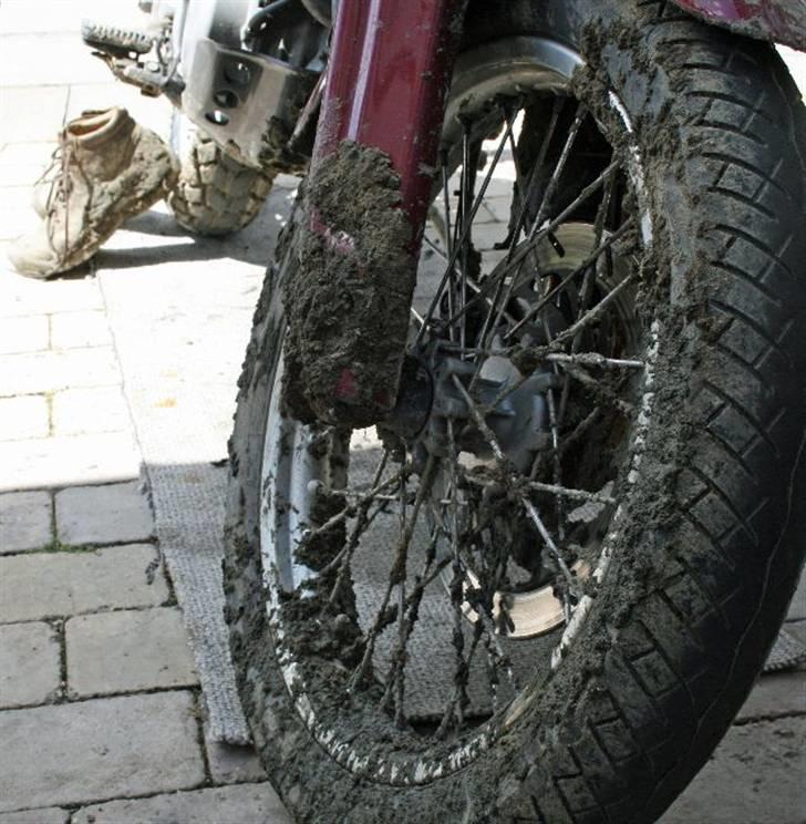 Aprilia Pegaso - Test af Pirac bagdæk: grus i maskinereiet, skiver og forgaffel klarede det bedre end forventet. billede 6