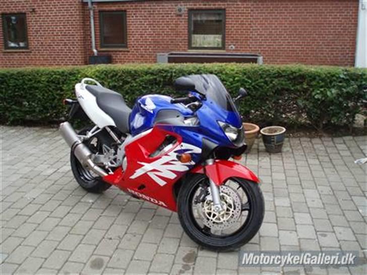 Honda CBR 600  F 4 "SOLGT" - Hun ser nu godt ud billede 1