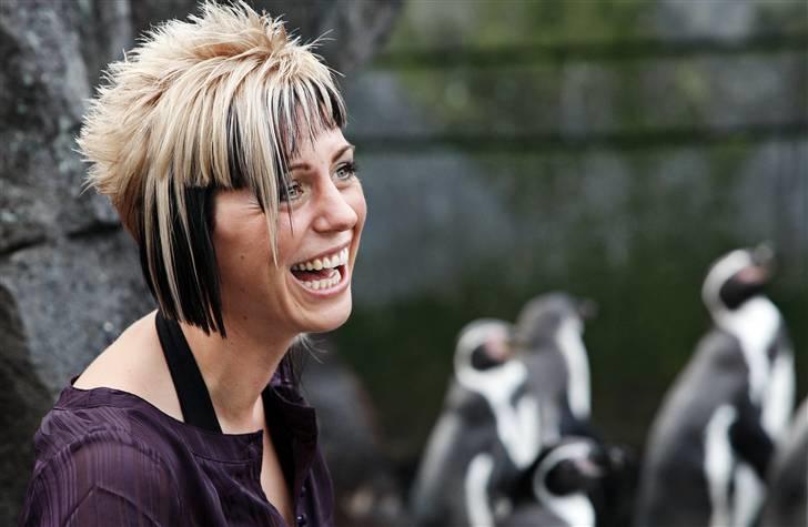 Yamaha R6 - Dem der stod uden for pingvin-anlægget var sjove - deraf det kæmpe grin! billede 12