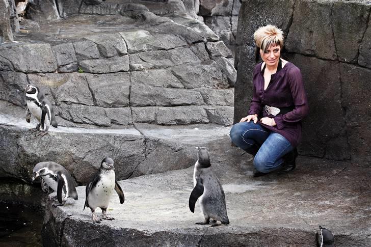 Yamaha R6 - Billederne er taget i forbindelse med noget modeuge i Aalborg for et par år siden! De skulle bruge nogle billeder til avisen og det gik så ud over mig! :o/ billede 13