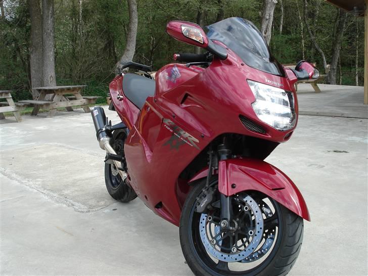 Honda cbr 1100 xx blackbird - blev dælme vasket og slæbt ud i solen billede 1