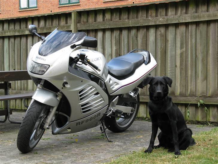 Suzuki RF 900 R billede 16