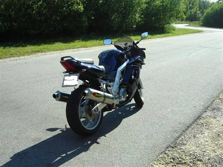 Suzuki SV1000S (Solgt) billede 5