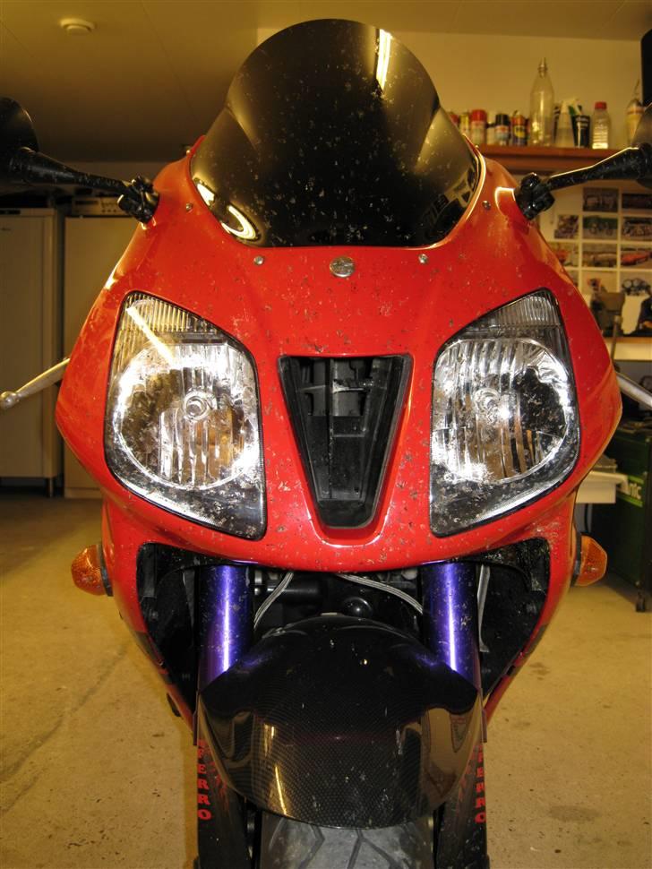 Honda VTR 1000 SP1 - God flue killer billede 2
