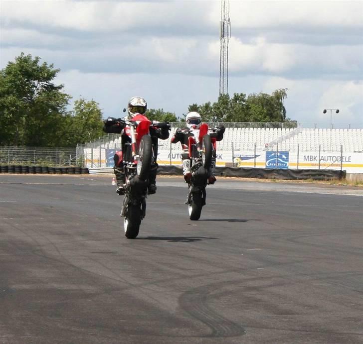 Aprilia SXV550 - Paw og undertegnede på ullen sammen. billede 19