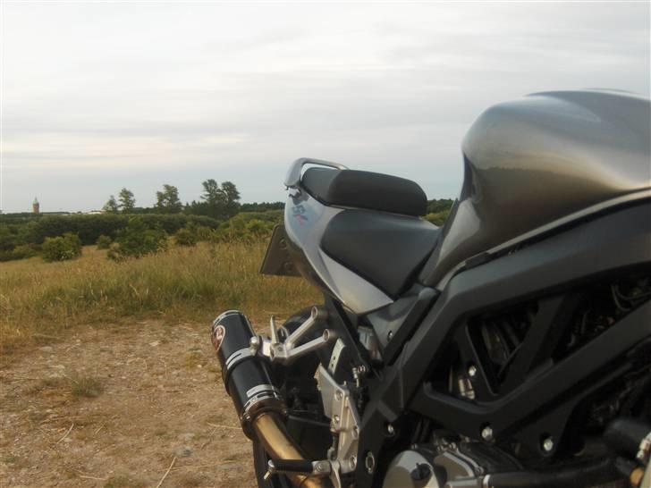 Suzuki SV650AK7 - solgt billede 18