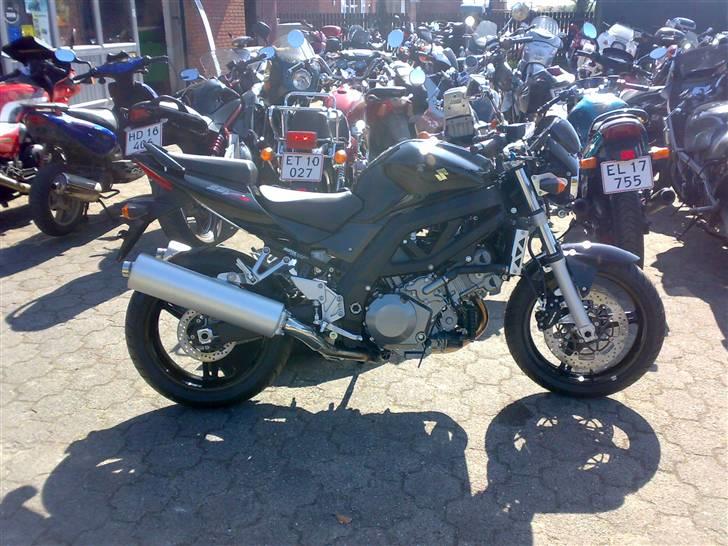 Suzuki Sv 1000N k7 - ved forhanler på det store dag :D  billede 9