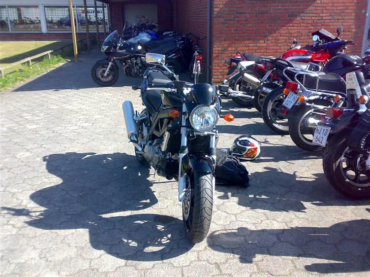 Suzuki Sv 1000N k7 - ved forhanler på det store dag :D  billede 10