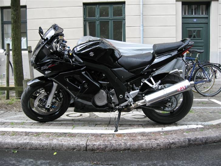 Suzuki SV 1000 billede 17