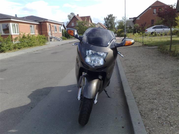 Honda CBR 1100 XX Blackbird billede 6