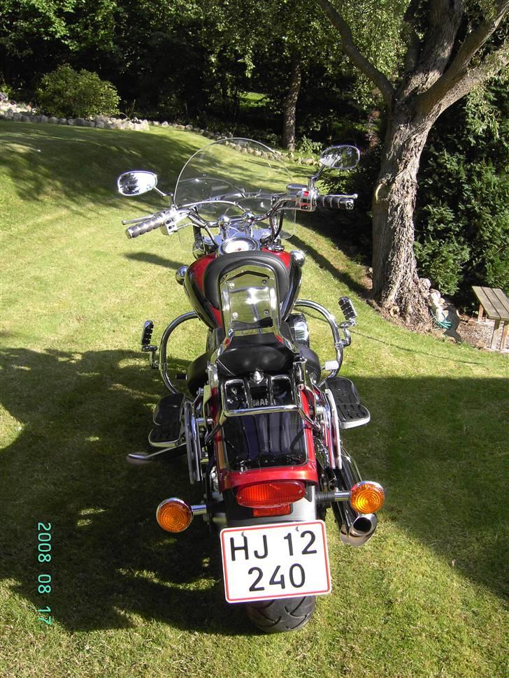 Yamaha XVS 1100 Dragstar billede 13