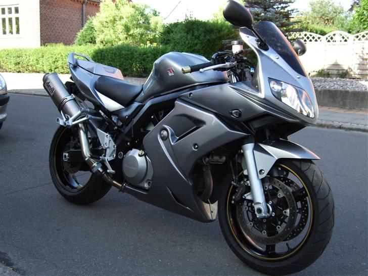 Suzuki SV 1000s billede 18