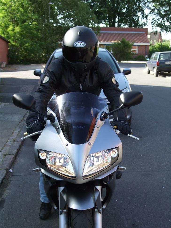 Suzuki SV 1000s billede 19