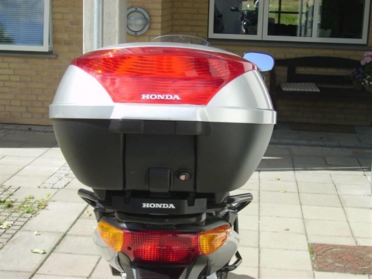 Honda CBF 600 SA billede 9
