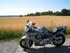 Suzuki GSF 650 Bandit [Tidl. motorcykel]