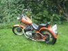 Triumph tiger 100 ss    