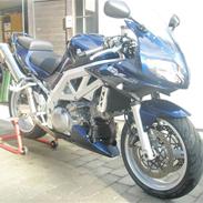 Suzuki SV1000S