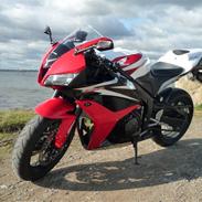 Honda CBR 600 RR