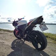 Honda CBR 600 RR