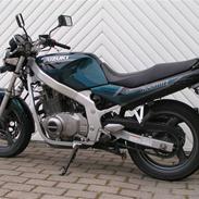 Suzuki GS 500 EU