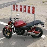 Honda CB600F PC41 Hornet