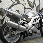 Suzuki SV1000