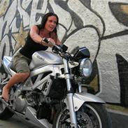 Suzuki SV1000