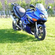 Suzuki GSX 600 F